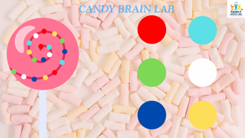 Candy brain lab exercise